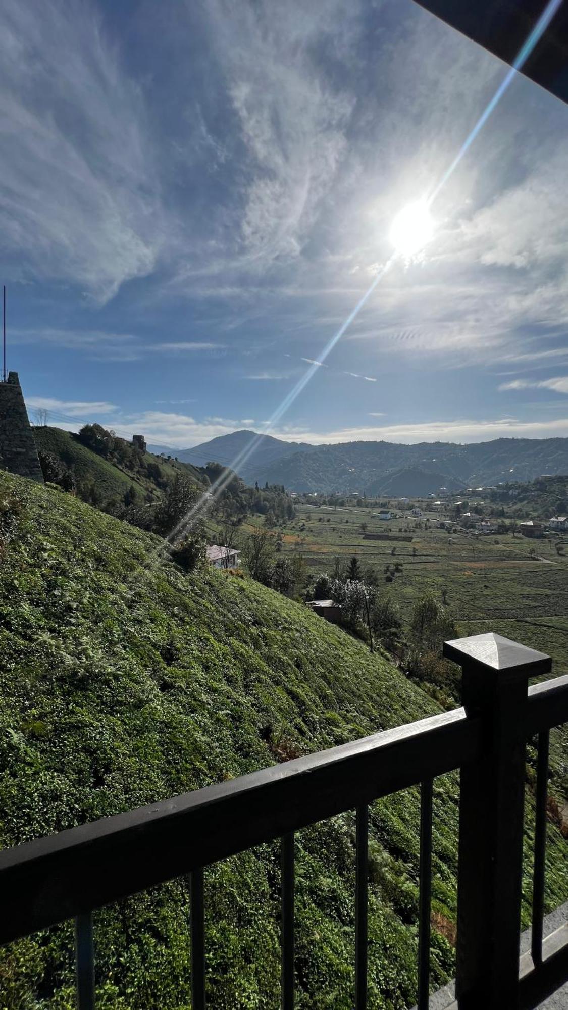 Meona Villa Bungalov Ardeşen 외부 사진